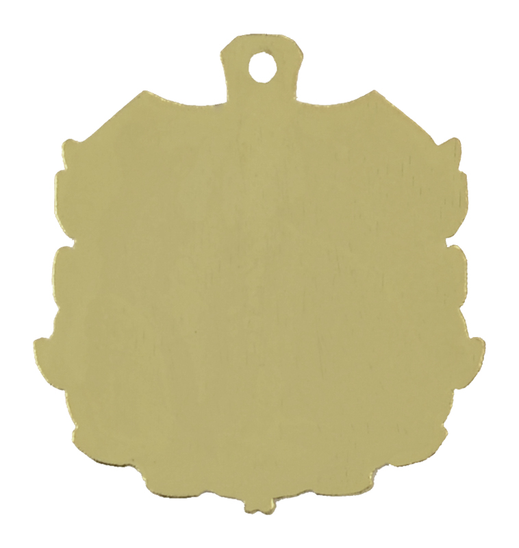 Shield Medals - Back Engraving Area